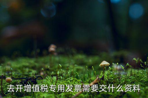 開專票需要對(duì)方什么資料，開具增值稅專用發(fā)票需要購(gòu)買方提交什么資料稅屋