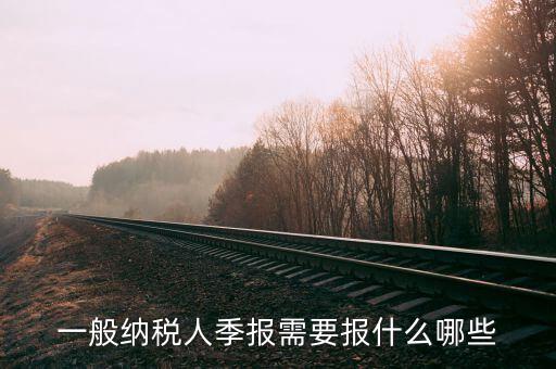 稅季報(bào)報(bào)的是什么，商業(yè)企業(yè)增值稅一般納稅人月報(bào)季報(bào)年報(bào)要報(bào)些什么