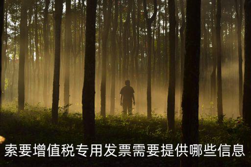 專用發(fā)票需要什么信息，現(xiàn)在開取增值稅專用發(fā)票需要什么資料