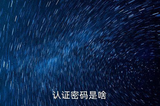 網(wǎng)上認(rèn)證的密碼是什么意思啊，市民身份證手機認(rèn)證服務(wù)密碼是什么意思在線等急