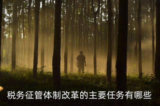 稅務(wù)系統(tǒng)的業(yè)務(wù)改革都有什么，稅務(wù)征管體制改革的主要任務(wù)有哪些