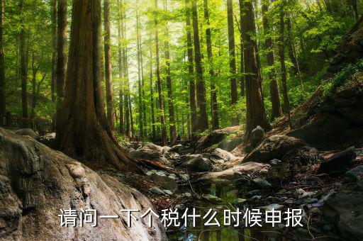 個稅什么時候開始申報，個人所得稅明細申報什么時候報