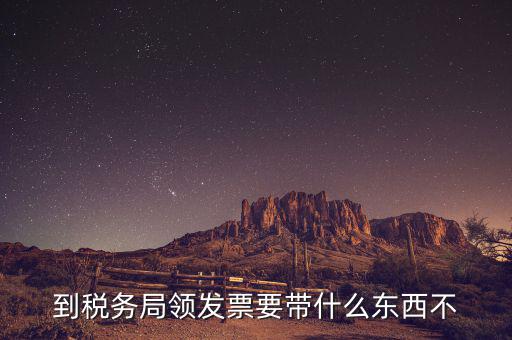到稅務局領發(fā)票要帶什么東西不