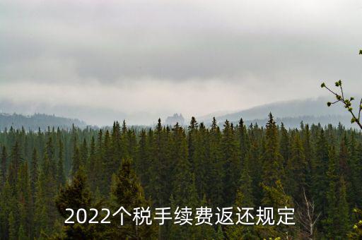 個稅返手續(xù)費什么時間，退個稅手續(xù)費2022年新規(guī)定