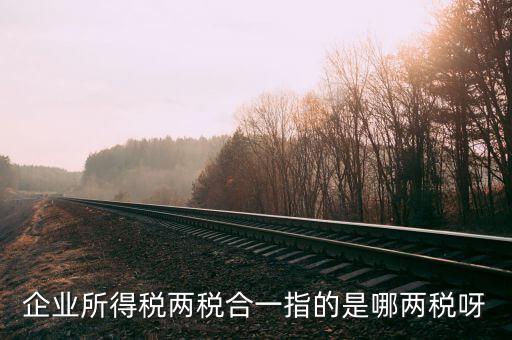 兩稅兩費(fèi)是什么，房地產(chǎn)投資經(jīng)營過程中企業(yè)納稅的兩稅一費(fèi)是指什么