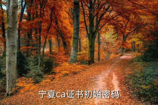 ca的默認(rèn)密碼是什么意思，ca口令是什么