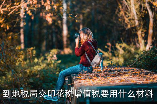 賬簿印花稅去地稅買要帶什么資料，購買印花稅帶什么資料