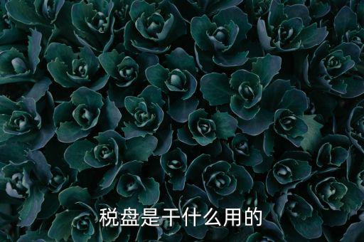 為什么要買金稅盤，稅控盤是一定要買的嗎