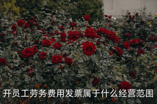 開員工勞務費用發(fā)票屬于什么經營范圍