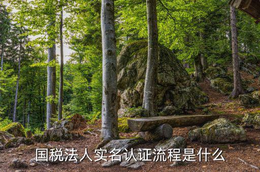 稅務(wù)實名認證需要什么，在國稅局辦理實名認證要準備哪些資料