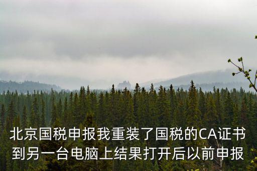 為什么有別的電腦上查不到國稅申報(bào)文件，國稅申報(bào)能在其他電腦里查看報(bào)表打印出來嗎如果不能查看和打