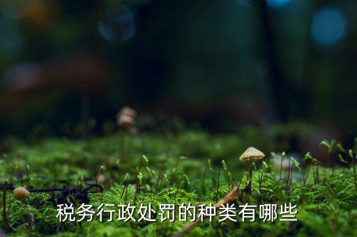 涉稅行政處罰包括什么，什么叫稅務行政處罰當事人