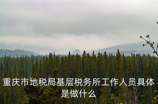 稅務(wù)局什么工作人員，請(qǐng)問(wèn)地方稅務(wù)局具體做哪些工作