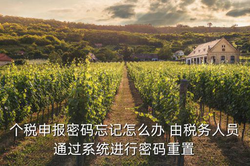 去稅局重置密碼要帶什么資料，個(gè)稅申報(bào)密碼怎么重置