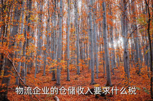 倉儲(chǔ)物流公司繳納什么稅，我是會(huì)計(jì)新手 請問各位師傅們物流公司應(yīng)繳納什么稅