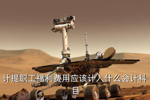 計提職工福利費(fèi)用應(yīng)該計入什么會計科目