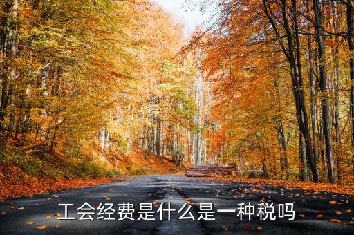 工會經費是什么是一種稅嗎