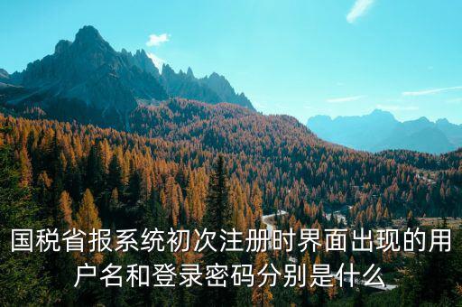 河南省國稅申報系統(tǒng)帳號是什么，請問國稅申報用戶號是什么密碼又是什么