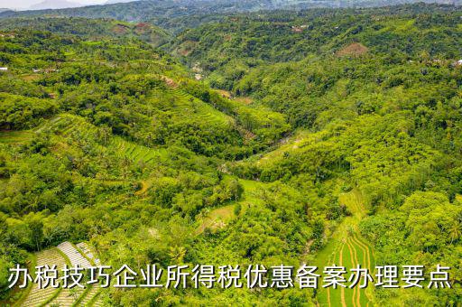 稅收優(yōu)惠事項(xiàng)備案項(xiàng)目是什么，企業(yè)所得稅需備案的事項(xiàng)包括哪些