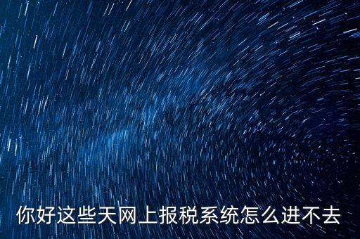 你好這些天網(wǎng)上報稅系統(tǒng)怎么進(jìn)不去