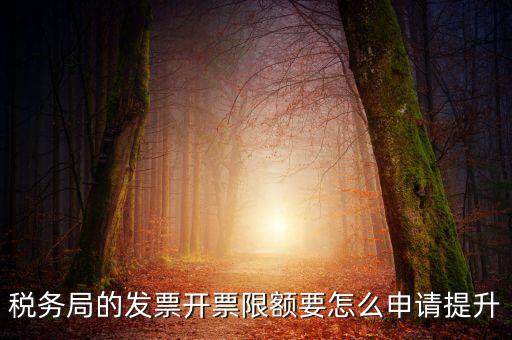 提高開票限額申請(qǐng)需要什么資料，去稅務(wù)局增大公司的開票限額需要帶些什么我公司第一次開票去申