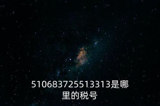 陜西省地方的稅號(hào)開頭是什么，510683725513313是哪里的稅號(hào)
