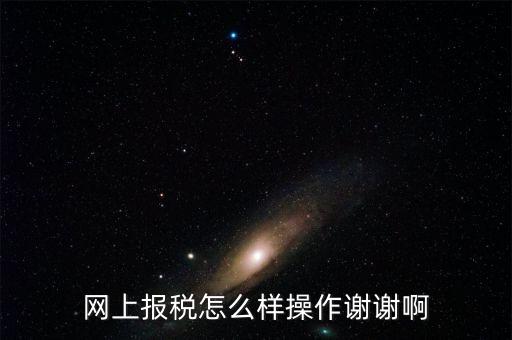 福建企業(yè)在什么網(wǎng)站報稅，網(wǎng)上報稅怎么樣操作謝謝啊
