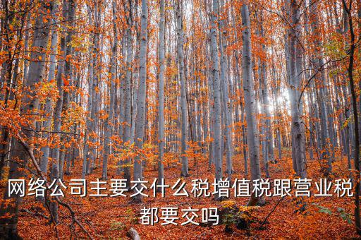 網絡公司主要交什么稅增值稅跟營業(yè)稅都要交嗎