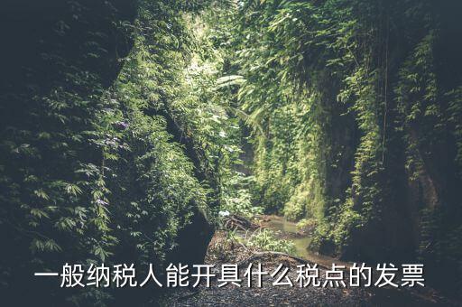 一般納稅人領(lǐng)什么發(fā)票，一般納稅人企業(yè)能開具和使用什么類型的發(fā)票