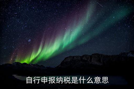 申報(bào)納稅什么意思，報(bào)稅是什么意思 報(bào)稅的含義