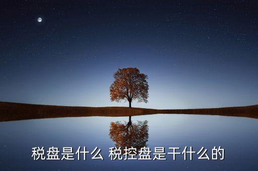 中稅協(xié)安全盤是什么，稅盤是什么 稅控盤是干什么的