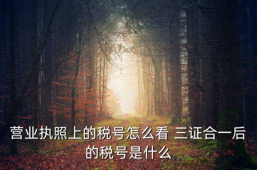 營業(yè)執(zhí)照上的稅號(hào)怎么看 三證合一后的稅號(hào)是什么