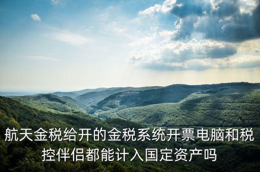 金稅為什么給中軟做，航天金稅給開的金稅系統(tǒng)開票電腦和稅控伴侶都能計入國定資產(chǎn)嗎