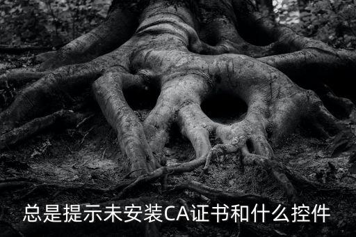 ca控件是什么意思，您是地稅CA用戶但未安裝企業(yè)CA控件為不影響申報功能正常使用請點
