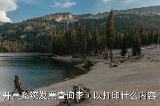 發(fā)票查詢什么內(nèi)容，通過發(fā)票可以查到買了什么東西嗎