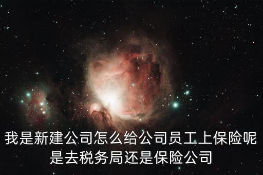 稅務(wù)局保險是什么，稅務(wù)局讓企業(yè)交得規(guī)費和參保費是什么