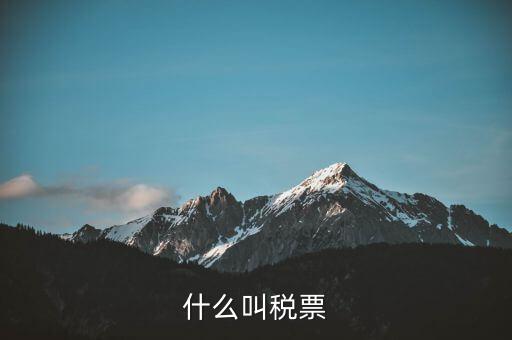 納稅稅票是什么，什么叫稅票