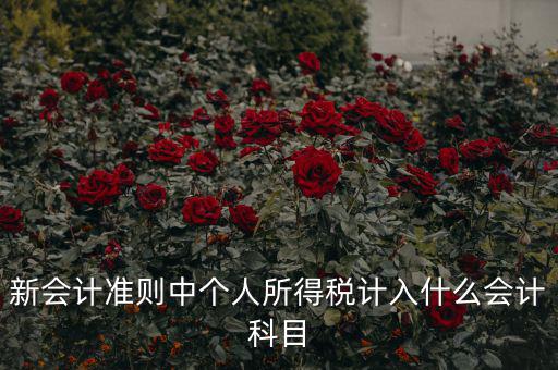 所得稅費(fèi)用什么科目，新會(huì)計(jì)準(zhǔn)則中個(gè)人所得稅計(jì)入什么會(huì)計(jì)科目