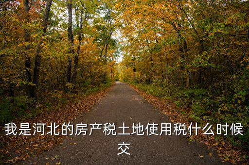 河北地稅申報(bào)后什么時(shí)候繳費(fèi)，我是河北的房產(chǎn)稅土地使用稅什么時(shí)候交