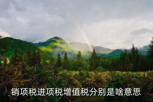 什么是銷項和進項，進項稅和銷項稅是什么意思