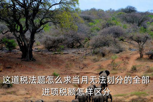 什么叫無法劃分的進(jìn)項(xiàng)稅額，一般納稅人兼營免稅項(xiàng)目或者非增值稅應(yīng)稅勞務(wù)而無法劃分不得抵