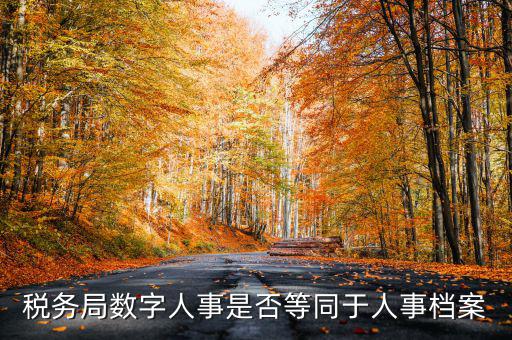 數(shù)字人事國(guó)稅是什么，數(shù)字人事第一段怎么劃分