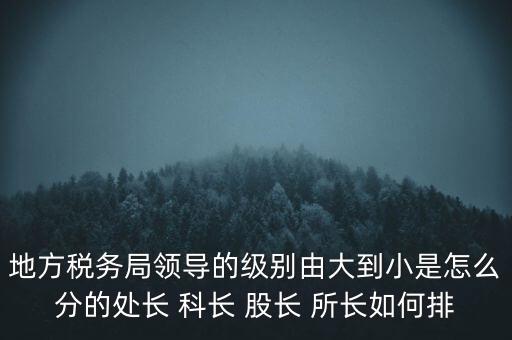 地方稅務(wù)局領(lǐng)導的級別由大到小是怎么分的處長 科長 股長 所長如何排