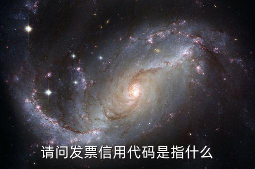 國稅開普票信用代碼是什么，發(fā)票上的統(tǒng)一社會信用代碼是什么