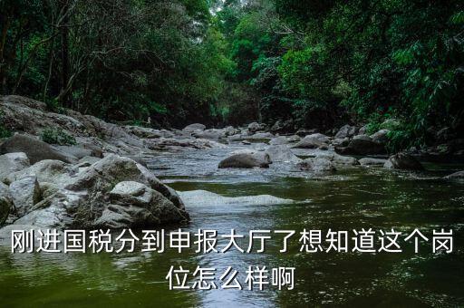 國(guó)稅局新進(jìn)人員一般分到什么崗位，國(guó)稅局 工作人員需要哪些專業(yè)職稱