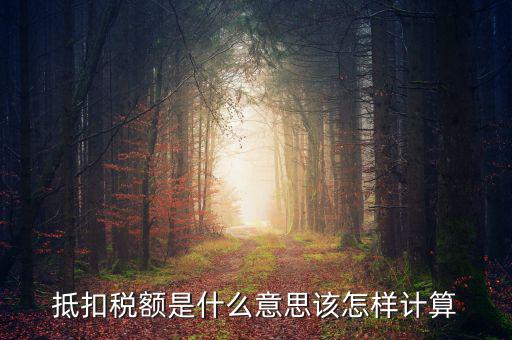 抵免稅額是什么意思，抵扣稅額是什么意思該怎樣計(jì)算