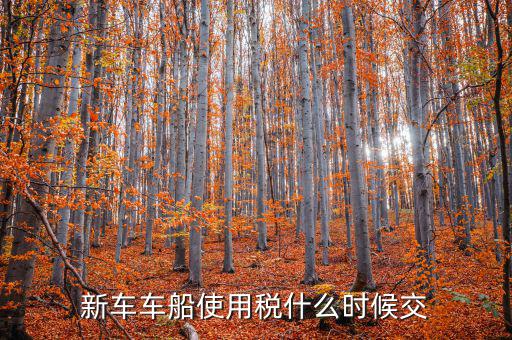 新車什么時候交車船稅，新車車船使用稅什么時候交