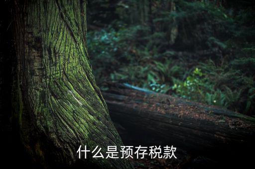預(yù)繳稅款是什么意思，企業(yè)所得稅年度申報(bào)系統(tǒng)初始數(shù)據(jù)的預(yù)繳稅額是什么意思