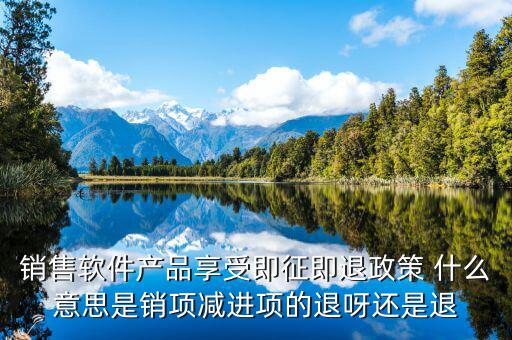 銷售軟件產(chǎn)品享受即征即退政策 什么意思是銷項減進(jìn)項的退呀還是退