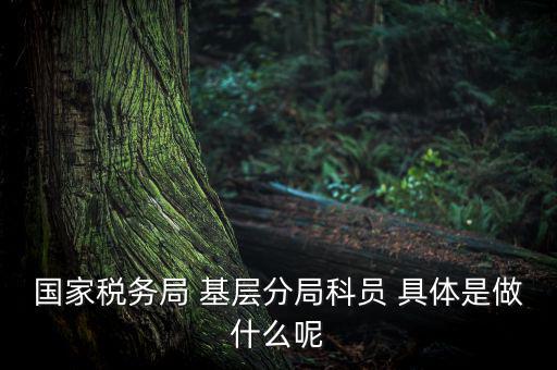 國地稅征管改革黨員干部干什么，國家稅務(wù)局 基層分局科員 具體是做什么呢